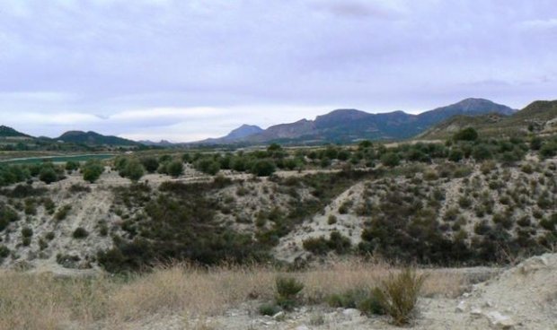 Reventa - Parcela / Terreno -
La Parroquia