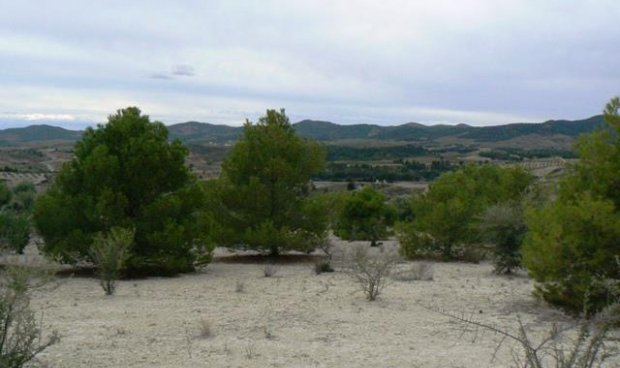 Reventa - Parcela / Terreno -
La Parroquia