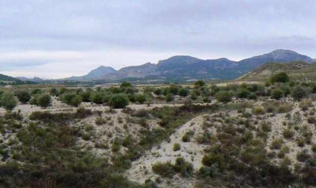 Reventa - Parcela / Terreno -
La Parroquia