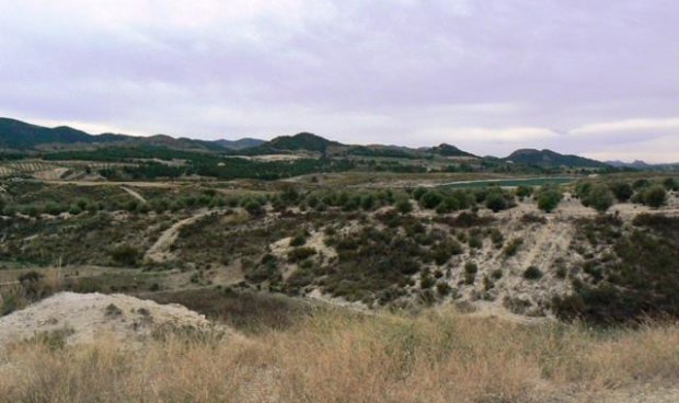 Reventa - Parcela / Terreno -
La Parroquia