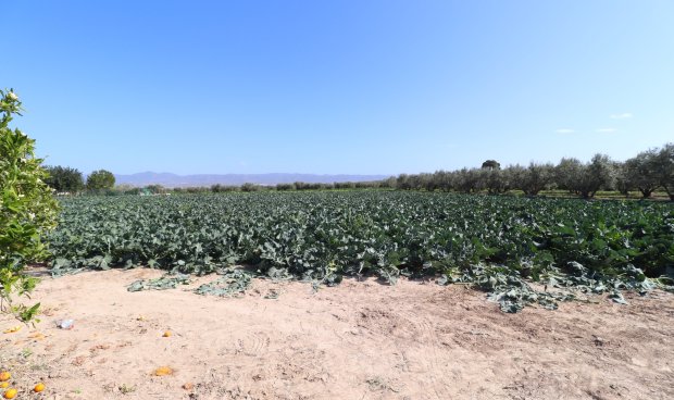 Reventa - Country House -
Lorca