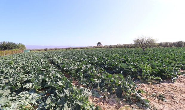 Reventa - Country House -
Lorca