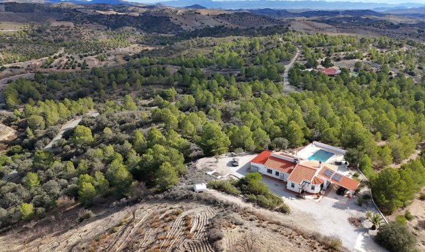 Resale - Villa -
Zarzalico