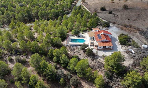 Resale - Villa -
Zarzalico