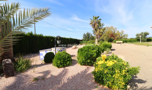 Reventa - Villa -
Lorca
