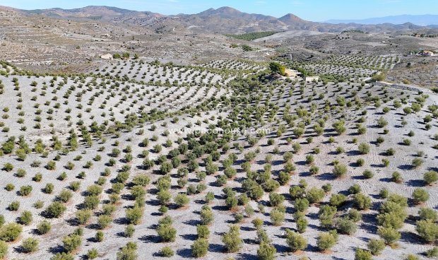 Reventa - Country House -
Zarzalico