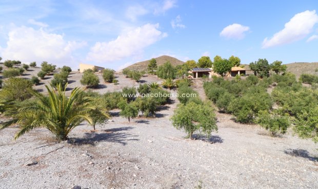 Reventa - Country House -
Zarzalico