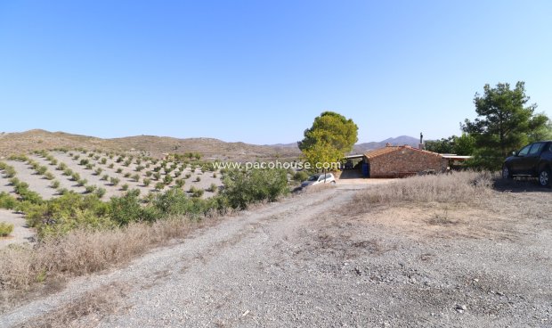 Reventa - Country House -
Zarzalico