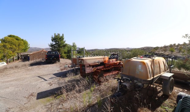 Reventa - Country House -
Zarzalico