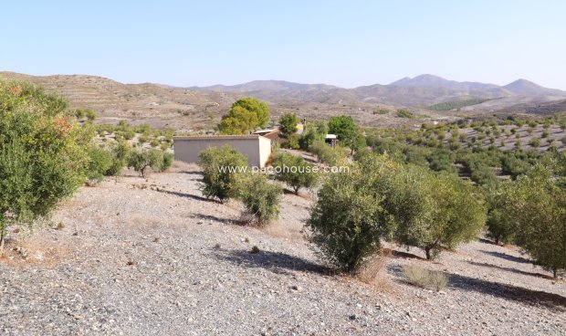 Reventa - Country House -
Zarzalico