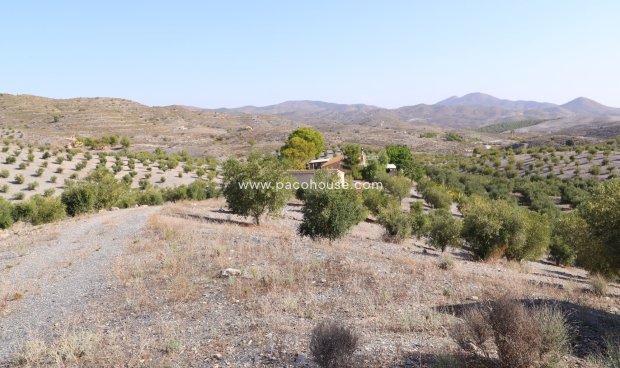 Reventa - Country House -
Zarzalico