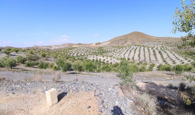 Reventa - Country House -
Zarzalico