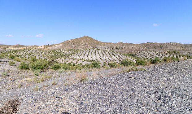 Reventa - Country House -
Zarzalico