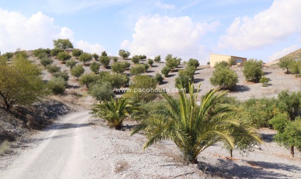 Reventa - Country House -
Zarzalico