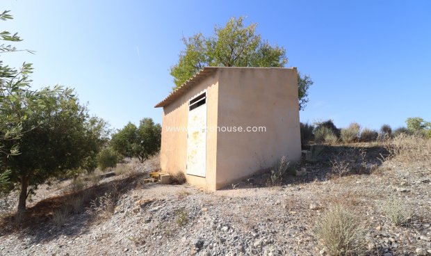 Reventa - Country House -
Zarzalico