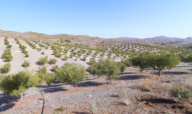 Reventa - Country House -
Zarzalico