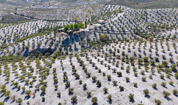 Reventa - Country House -
Zarzalico