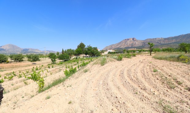 Resale - Cortijo -
Velez-Rubio