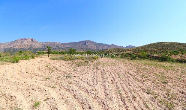 Resale - Cortijo -
Velez-Rubio