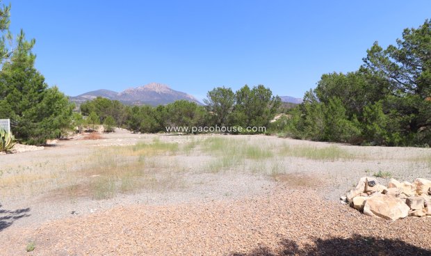 Reventa - Villa -
La Parroquia