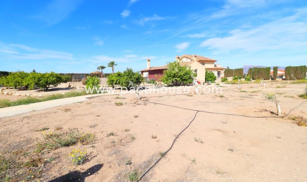 Resale - Villa -
Purias