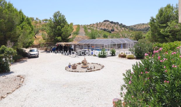 Resale - Cortijo -
Velez-Rubio