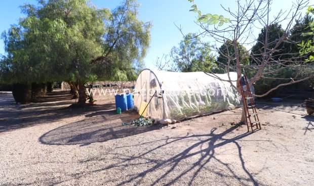 Resale - Villa -
Puerto Lumbreras