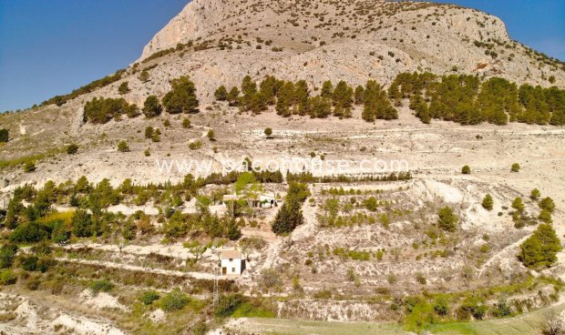 Resale - Cortijo -
Velez-Blanco