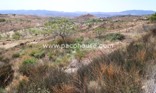 Resale - Cortijo -
Velez-Blanco